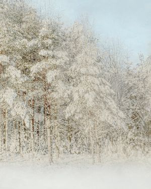 Vinter i Värmland